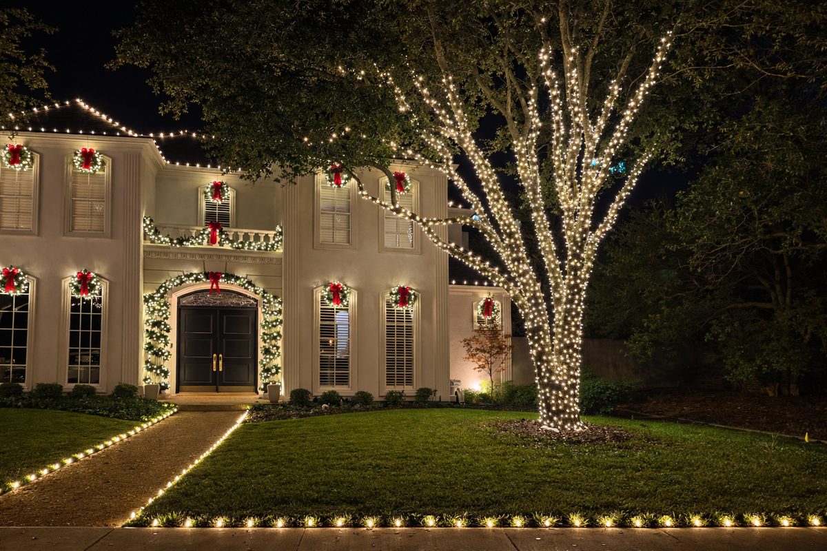 Warm Christmas lighting wrapping mature front-yard trees